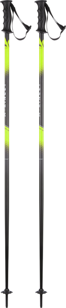 McKINLEY Herren Alpin-Skistock Ux.-Skistock Vector 10