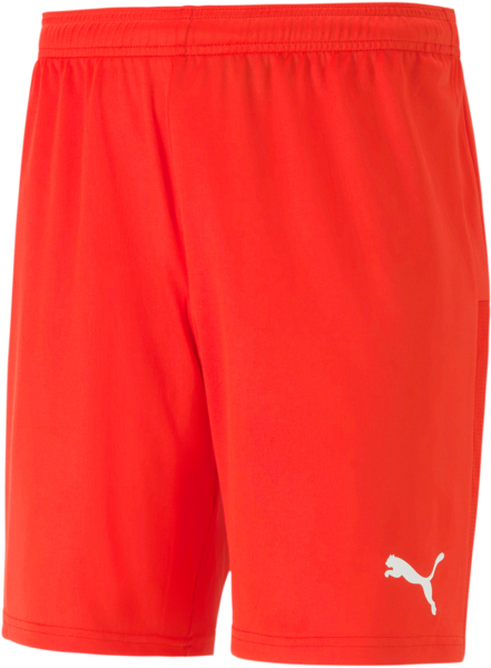 PUMA Herren Shorts teamGOAL 23 knit