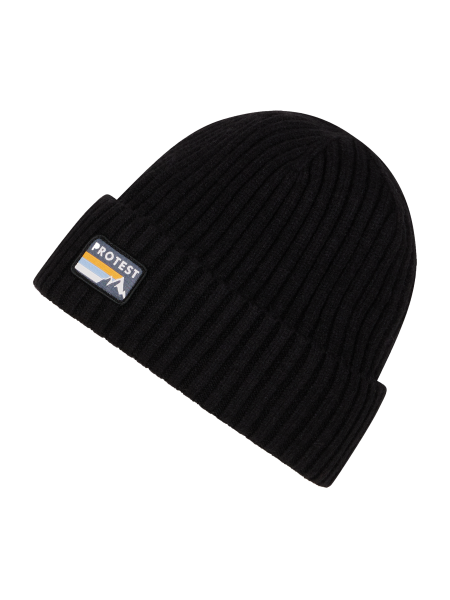 PROTEST PRTWorsley Beanie