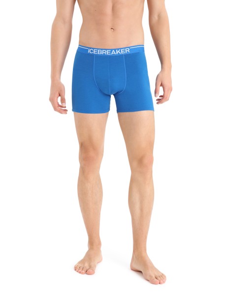 ICEBREAKER Men Anatomica Boxers